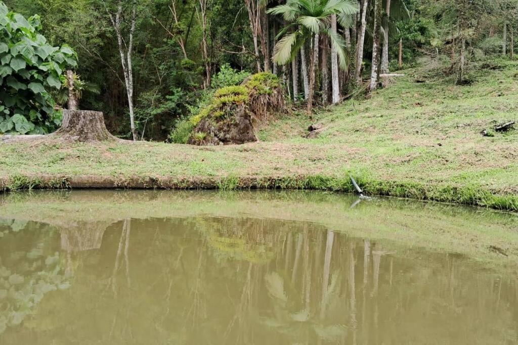 Benedito Novo Sitio Som Das Aguas מראה חיצוני תמונה
