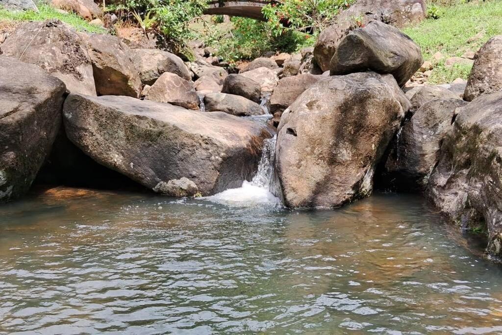 Benedito Novo Sitio Som Das Aguas מראה חיצוני תמונה